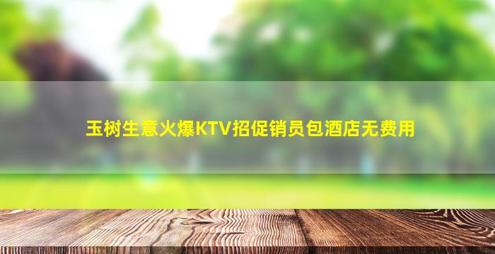 玉树生意火爆KTV招促销员包酒店无费用